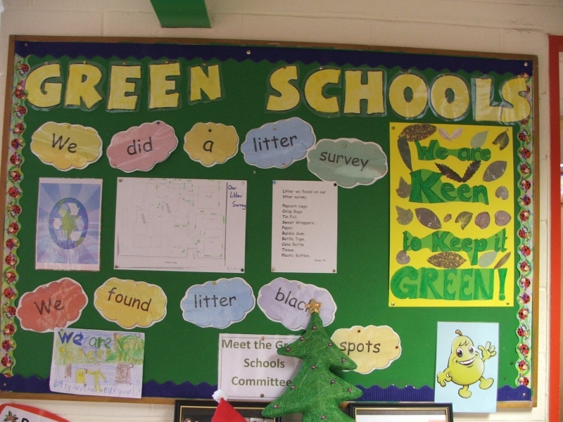 1254582026_3-green-school-notice-board.jpg